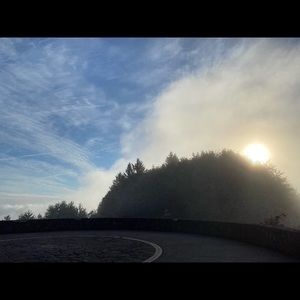 Meet your Posher, Diana